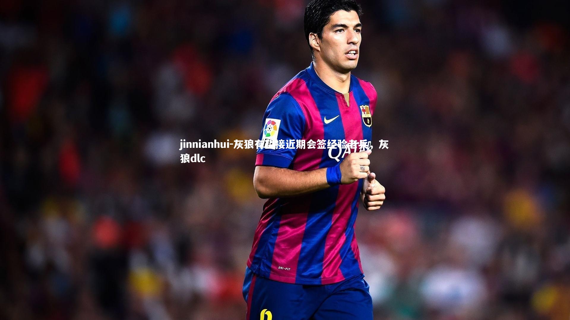 jinnianhui-灰狼有望接近期会签经验老兵，灰狼dlc